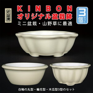 ~͏ KINBONIWi~͔ 3_Zbg ۔ ։ ؉Z 3 4 i~ ~j~ R쑐ɍœK