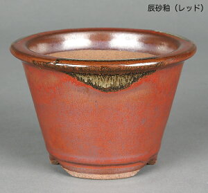 ~͔ Ό3[O۔ R Aؔ a10cm i~ ~j~ R쑐ɍœK