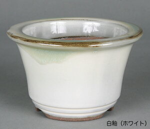 ~͔ Ό3.5[O۔ R Aؔ a11cm i~ ~j~ R쑐ɍœK