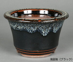 ~͔ Ό3.5[O۔ R Aؔ a11cm i~ ~j~ R쑐ɍœK