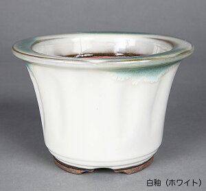 ~͔ Ό4.5[O۔ R Aؔ a13.5cm i~ ~j~ R쑐ɍœK