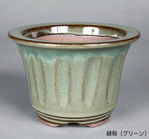 ~͔ Ό4.5[O۔ R Aؔ a13.5cm i~ ~j~ R쑐ɍœK