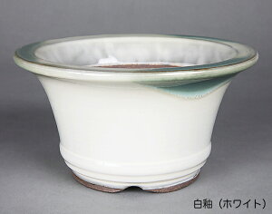 ~͔ Ό6[O۔ R Aؔ a18cm i~ ~j~ R쑐ɍœK