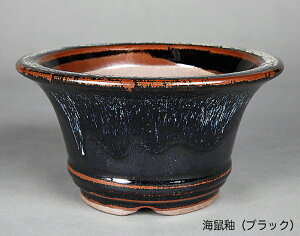 ~͔ Ό6[O۔ R Aؔ a18cm i~ ~j~ R쑐ɍœK