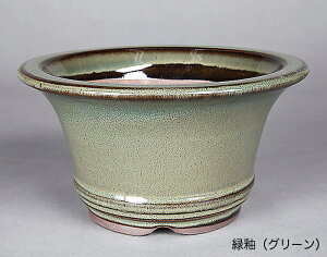 ~͔ Ό6[O۔ R Aؔ a18cm i~ ~j~ R쑐ɍœK