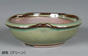 ~͔ Ό3ό`۔ R Aؔ a9cm i~ ~j~ R쑐ɍœK