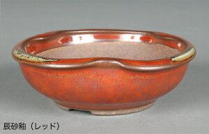 ~͔ Ό3ό`۔ R Aؔ a9cm i~ ~j~ R쑐ɍœK