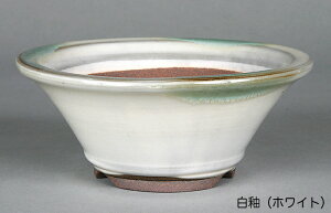 ~͔ Ό5w}^۔ R Aؔ a15cm i~ ~j~ R쑐ɍœK