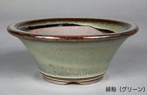 ~͔ Ό4w}^۔ R Aؔ a12cm i~ ~j~ R쑐ɍœK