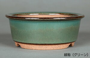 ~͔ Ό3O۔ R Aؔ a10cm i~ ~j~ R쑐ɍœK