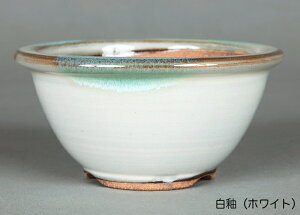 ~͔ Ό3.5o^۔ R Aؔ a11cm i~ ~j~ R쑐ɍœK