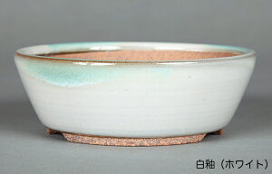 ~͔ Ό3.5ؗ۔ R Aؔ a11cm i~ ~j~ R쑐ɍœK