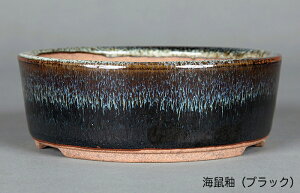 ~͔ Ό4ؗ۔ R Aؔ a4 i~ ~j~ R쑐ɍœK