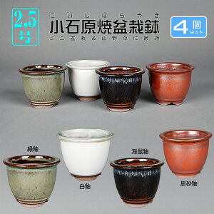 ~͔ Ό2.5[O۔4_Zbg R Aؔ a8cm i~ ~j~ R쑐ɍœK