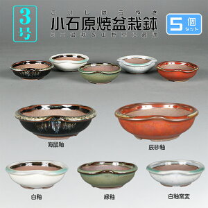 ~͔ Ό3ό`۔5_ZbgR a9cm i~ ~j~ R쑐ɍœK