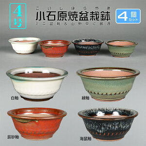 ~͔ Ό4۔4_Zbg R Aؔ a12cm i~ ~j~ R쑐ɍœK