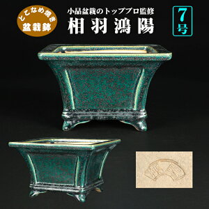 ~͔ zD֊zʐ F 튊  O[ 7 20cm i~ i~͂ɍœK