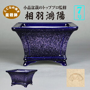 ~͔ zڗsN֊zʐ F Hz 튊  lCr[ sN 7 20cm Gؖ~ i~ ~j~͂ɍœK