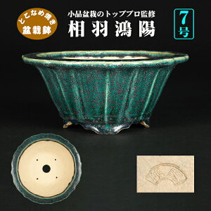 ~͔ zD֌Ë^ F 튊  O[ 7 21cm i~ i~͂ɍœK