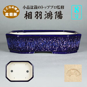 ~͔ zڗsN֋ؒ F Hz 튊  lCr[ sN 8 24cm Gؖ~ i~͂ɍœK