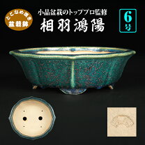 楽天市場】鴻陽 鉢の通販