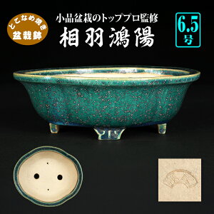 ~͔ zD֖؉Z F 튊  O[ 6 19cm i~ Gؖ~͂ɍœK