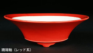 ~͔ Øax5^۔ F  14cm i~ ~j~ R쑐ɍœK