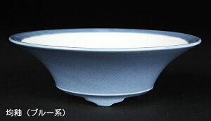 ~͔ Øax5^۔ F  14cm i~ ~j~ R쑐ɍœK