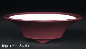 ~͔ Øax5^۔ F  14cm i~ ~j~ R쑐ɍœK