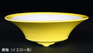 ~͔ Øax5^۔ F  14cm i~ ~j~ R쑐ɍœK