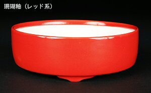 ~͔ Øax5ؗ۔ F  14cm i~ ~j~ R쑐ɍœK