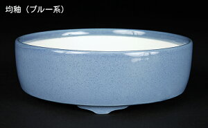 ~͔ Øax5ؗ۔ F  14cm i~ ~j~ R쑐ɍœK
