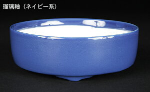 ~͔ Øax5ؗ۔ F  14cm i~ ~j~ R쑐ɍœK