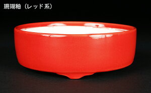 ~͔ Øax4ؗ۔ F  11.5cm i~ ~j~ R쑐ɍœK