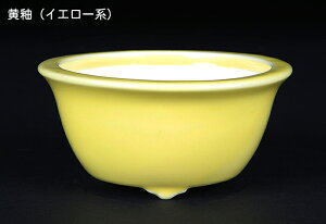 ~͔ Øax3[۔ F  9cm i~ ~j~ R쑐ɍœK