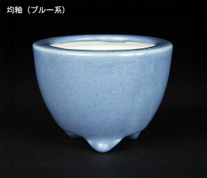 ~͔ Øax2o^[۔ F  6cm i~ ~j~ R쑐ɍœK