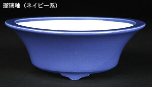 ~͔ Øax5^۔ F  15cm i~ ~j~ R쑐ɍœK