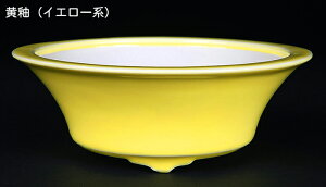 ~͔ Øax5^۔ F  15cm i~ ~j~ R쑐ɍœK