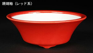 ~͔ Øax4^۔ F  11cm i~ ~j~ R쑐ɍœK