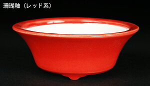 ~͔ Øax3^۔ F  8cm i~ ~j~ R쑐ɍœK