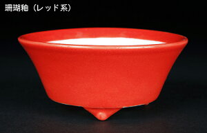 盆栽鉢 静和富造3号反型丸鉢 色鉢 磁器 9cm 小品盆栽 ミニ盆栽 山野草に最適