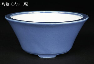 ~͔ Øax5^۔   14cm i~ ~j~ R쑐ɍœK