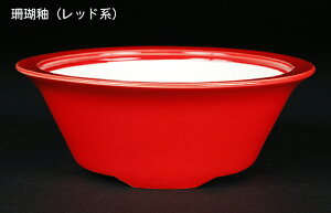 盆栽鉢 静和富造5号外縁丸鉢 色鉢 磁器 14cm 小品盆栽 ミニ盆栽 山野草に最適