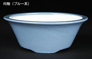 ~͔ Øax5O۔ F  14cm i~ ~j~ R쑐ɍœK