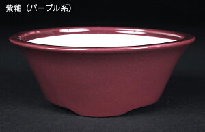 ~͔ Øax5O۔ F  14cm i~ ~j~ R쑐ɍœK