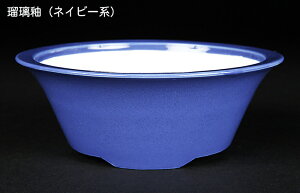 ~͔ Øax5O۔ F  14cm i~ ~j~ R쑐ɍœK