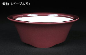 ~͔ Øax4O۔ F  11cm i~ ~j~ R쑐ɍœK