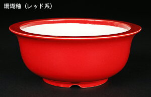 ~͔ Øax5o^۔ F  14cm i~ ~j~ R쑐ɍœK