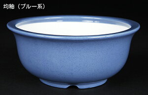 ~͔ Øax5o^۔ F  14cm i~ ~j~ R쑐ɍœK