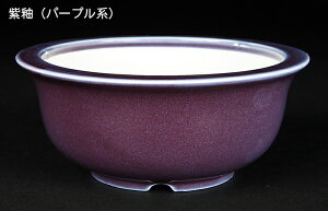 ~͔ Øax5o^۔ F  14cm i~ ~j~ R쑐ɍœK